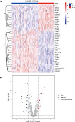 The Potential of Metabolism-Related Gene OGDHL as a Biomarker for Myocardial Remodeling in Dilated Cardiomyopathy